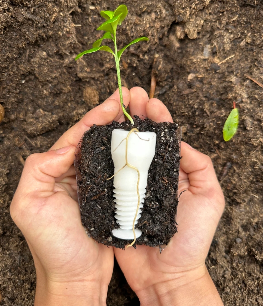 Dental Check up in Newport Beach